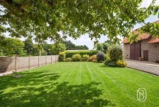 Eigendom met een enorme potentieel; woning, schuur en weide op maar liefst 1,6 hectare! Op een goeie ligging in Dentergem, langs de Wontergemstraat, vinden we deze eigendom met bijzonder veel potentieel.Het geheel omvat een woonhuis dat verder naar eigen smaak kan worden ingericht, en/of gerenoveerd en/of afbraak en heropbouw aan 6% BTW tevens mogelijk. Er is tevens een ruime extra charmante schuur én een uitgestrekte weide achteraan. De eigendom geniet van een prachtig open zicht en een uitzonderlijk gevoel van ruimte en vrijheid.Met een totale oppervlakte van maar liefst 1,6 hectare biedt deze eigendom tal van mogelijkheden voor wie op zoek is naar ruimte, rust en een unieke landelijke omgeving.Een bijzonder interessante eigendom voor liefhebbers van buitenleven, dieren, hobby's of wie droomt van een woning met extra ruimte en mogelijkheden!Bezoek na afspraak met Immo Beguin: flore@immobeguin.be