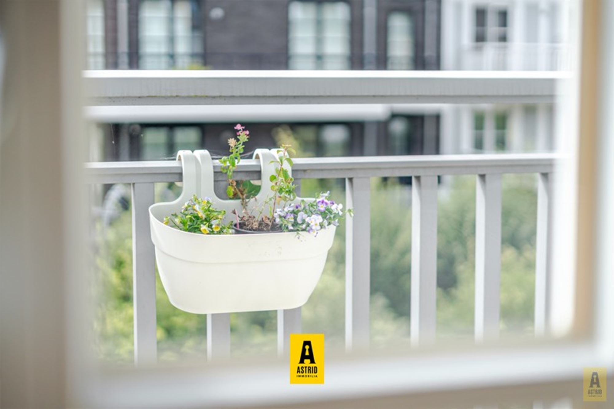 Schitterend appartement in Nieuwe Concessie! - foto 4