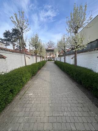 Dit renovatieproject is ideaal gelegen in het hartje van het Oude Knokke, erg idyllisch aan het boogje aan de ingang van het Witte Duivenhof. Deze woning kan gerenoveerd of nieuw gebouwd worden. volgens de vaste bepalingen opgenomen in het RUP KNOKKE - DORPSKERN. Op vandaag is er een vergunde parkeerplaats vooraan de woning. Voor info & bezoek bel 0479636078.