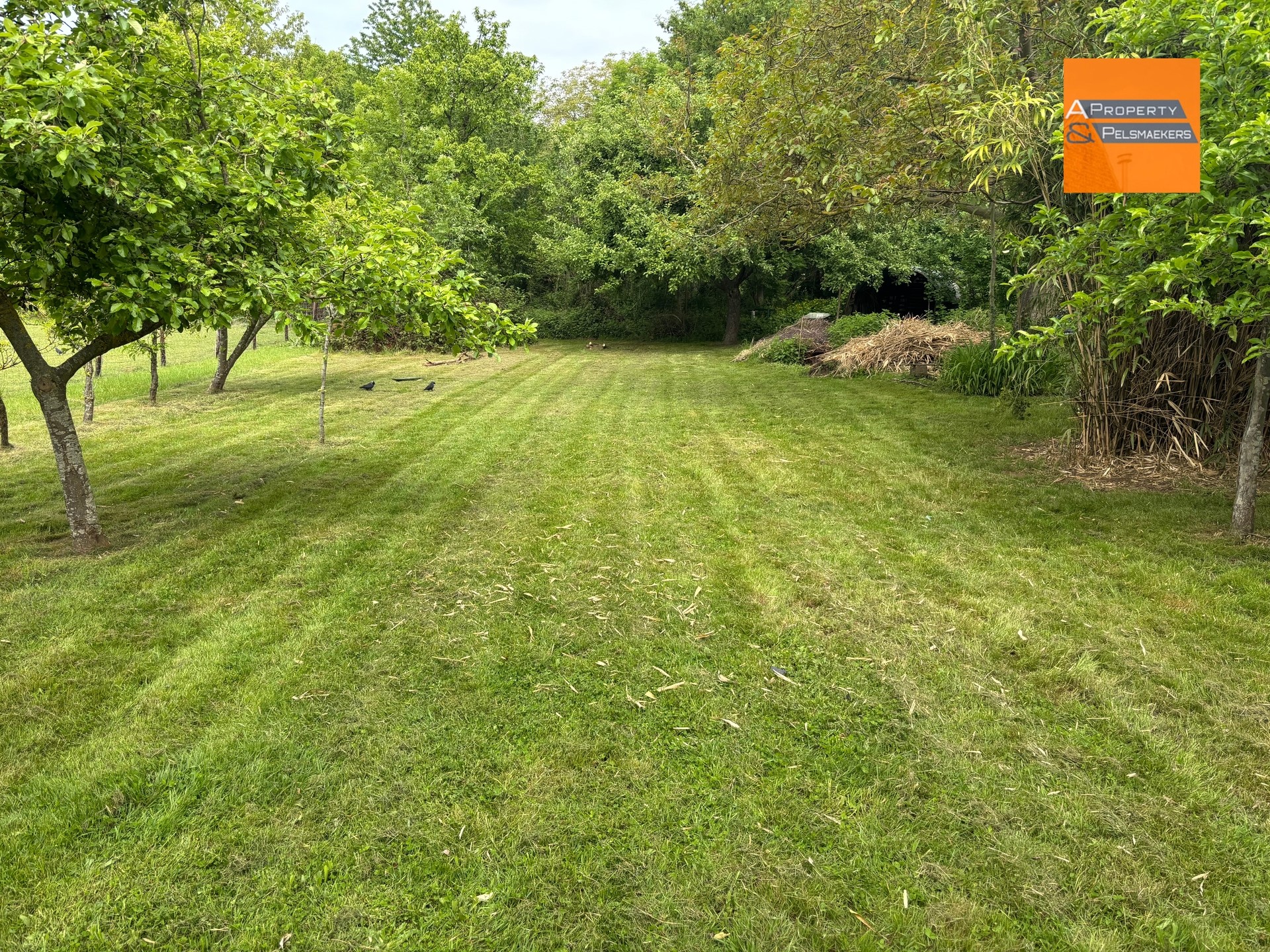 Bouwgrond te koop in Kessel-Lo!! - foto 2