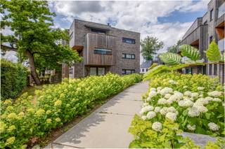 Deze assistentiewoning maakt deel uit van Residentie Alegria, een erkend woonconcept met 45 assistentiewoningen aan de rand van Sint‑Niklaas...