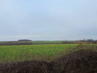 Land for sale in Gingelom