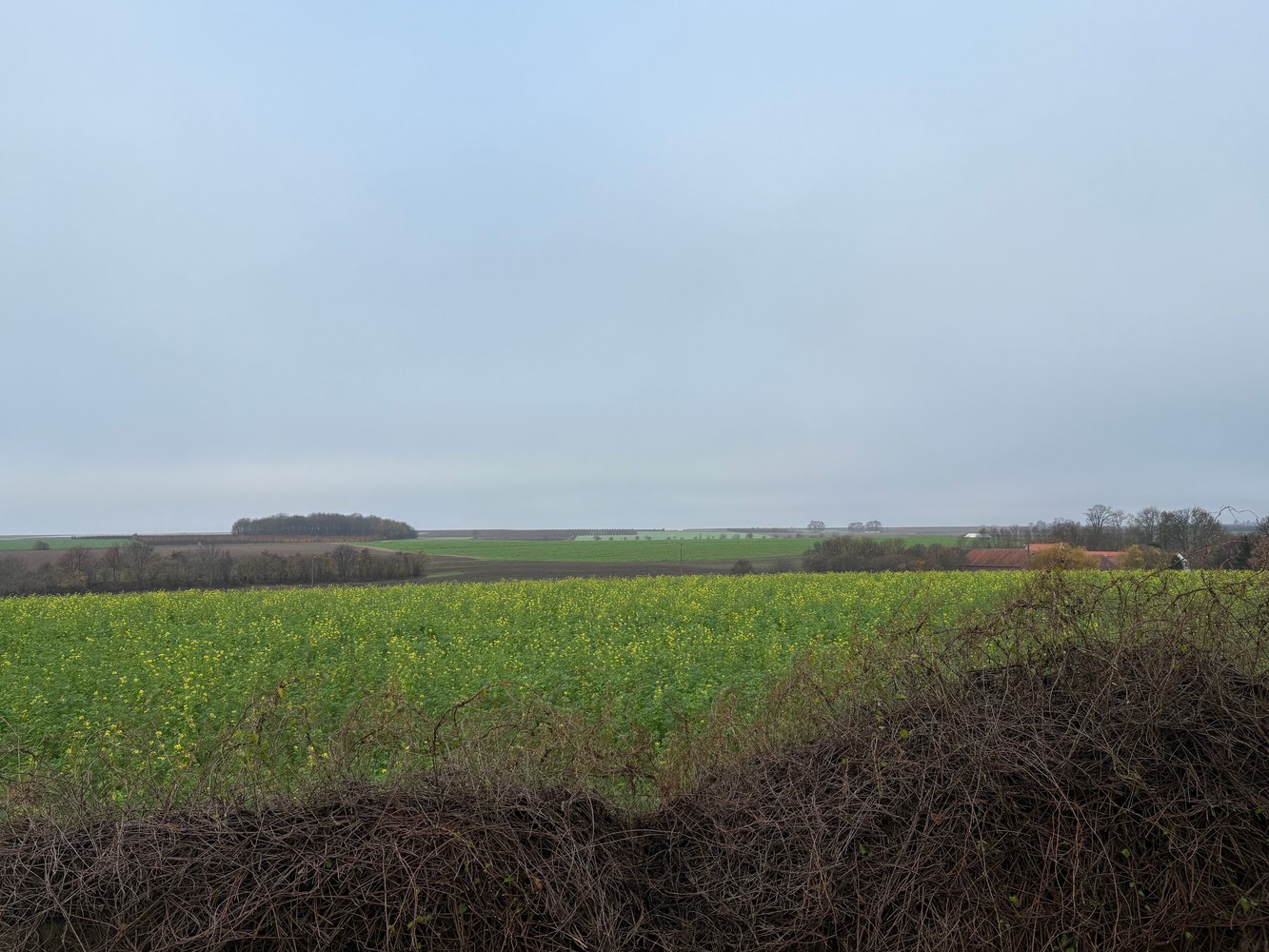 Land for sale in Gingelom - photo 2