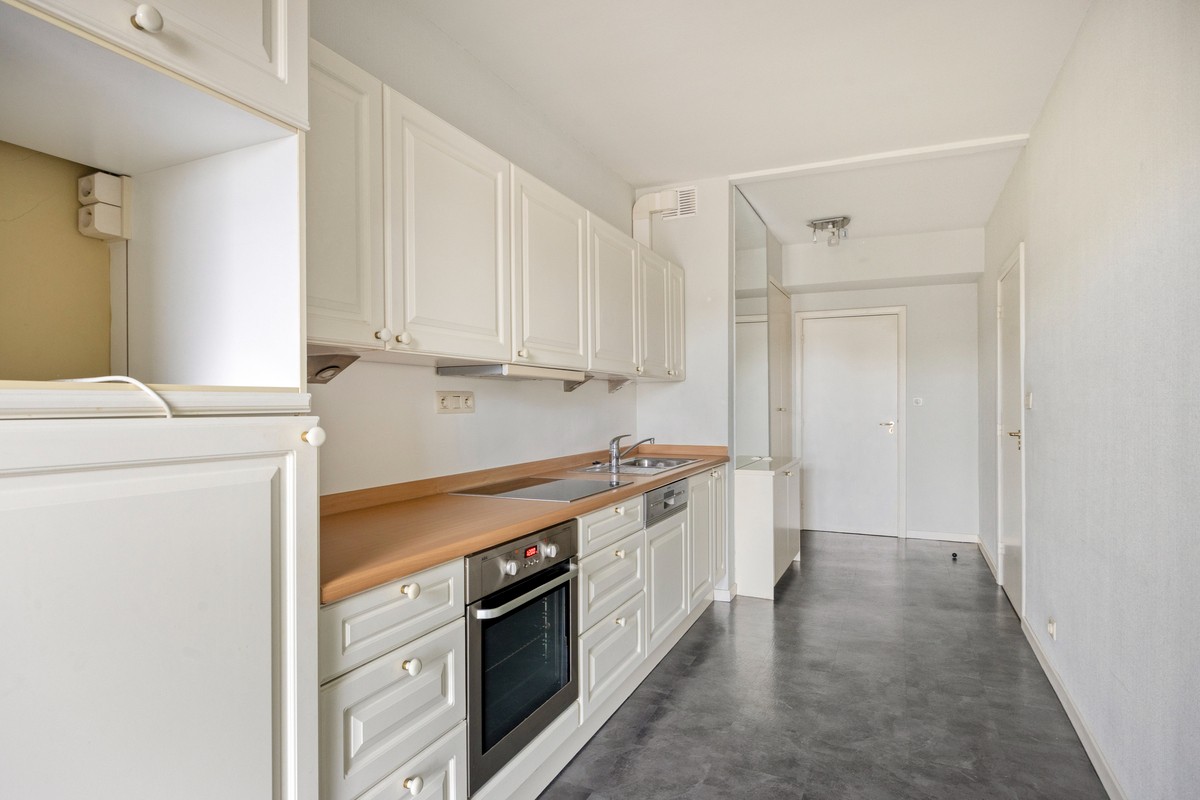 Ruim appartement aan de stadsrand - foto 5