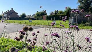 House for sale in Roeselare