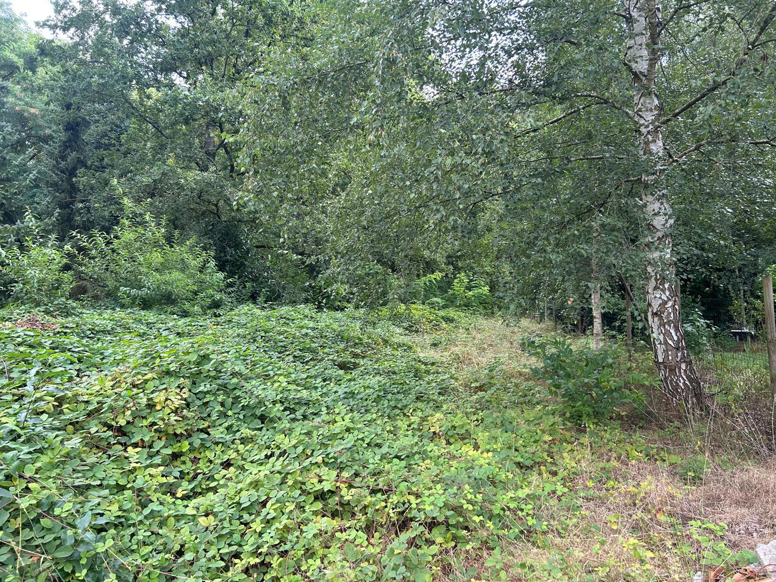 Land for sale in Brasschaat - photo 4