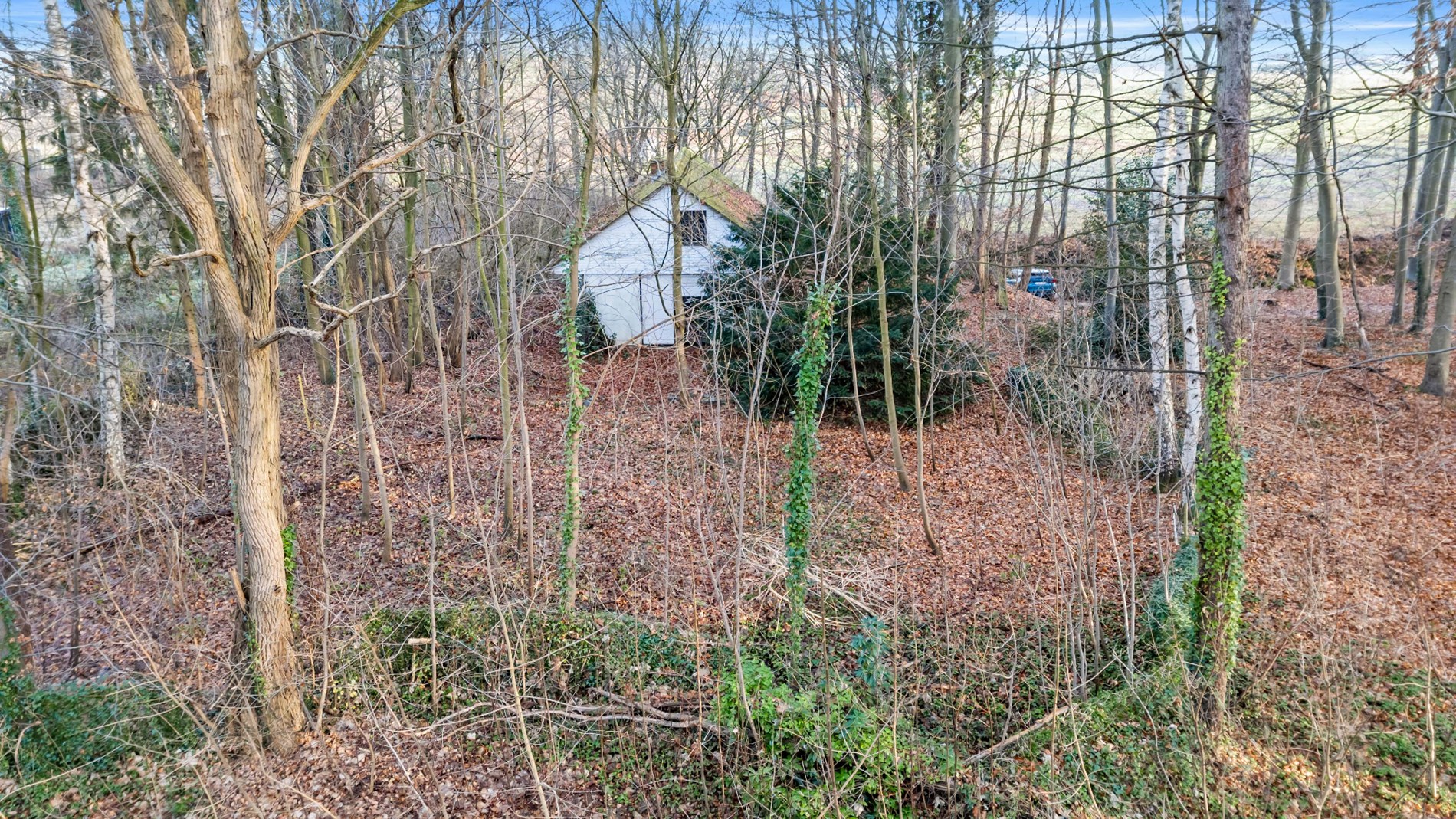 PELLENBERG - Exculsief bouwperceel op 25a68ca - OB - foto 2