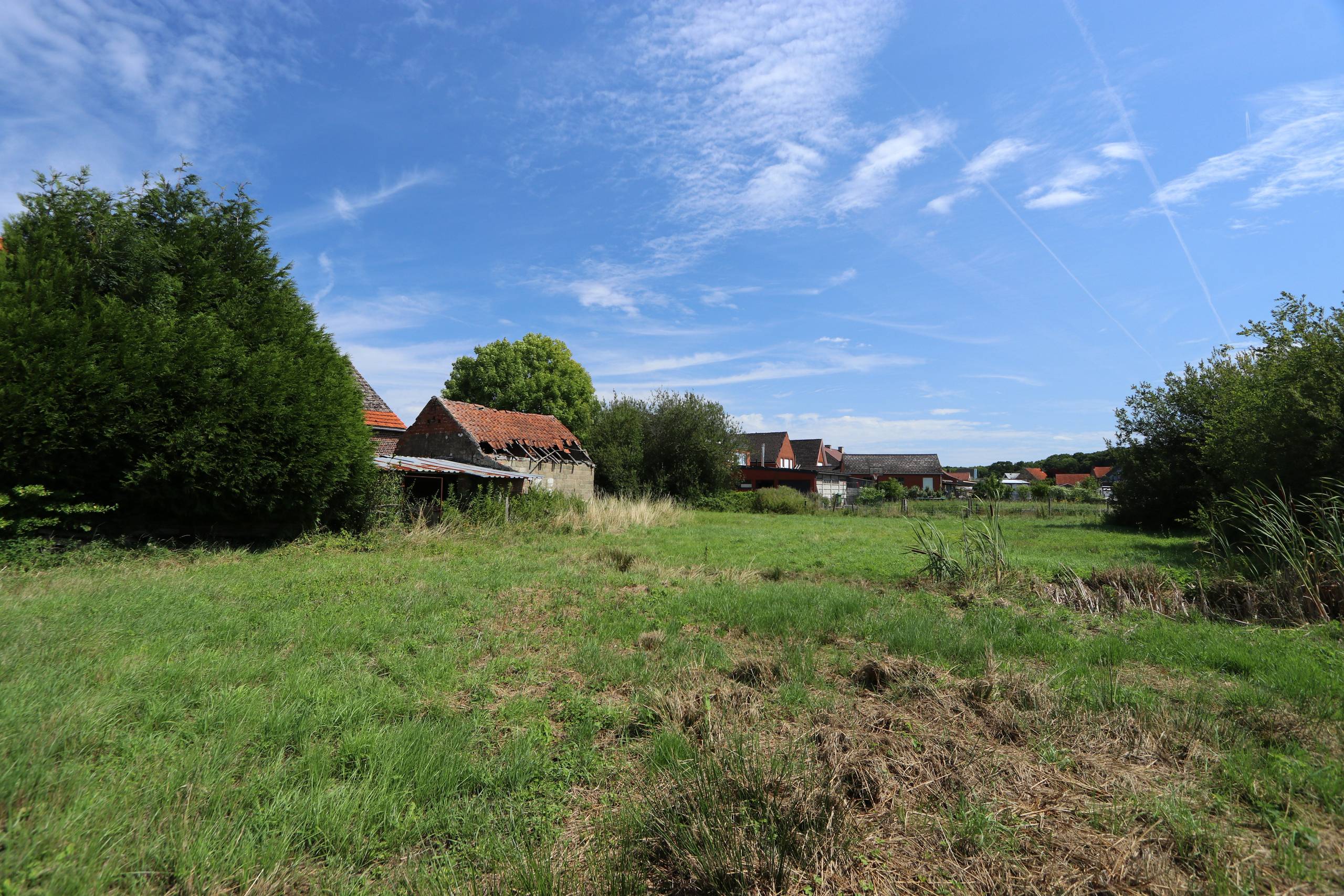 Te koop: Grond voor open bebouwing te Rillaar. - foto 3