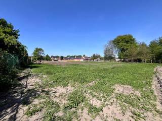 Land for sale in Mol