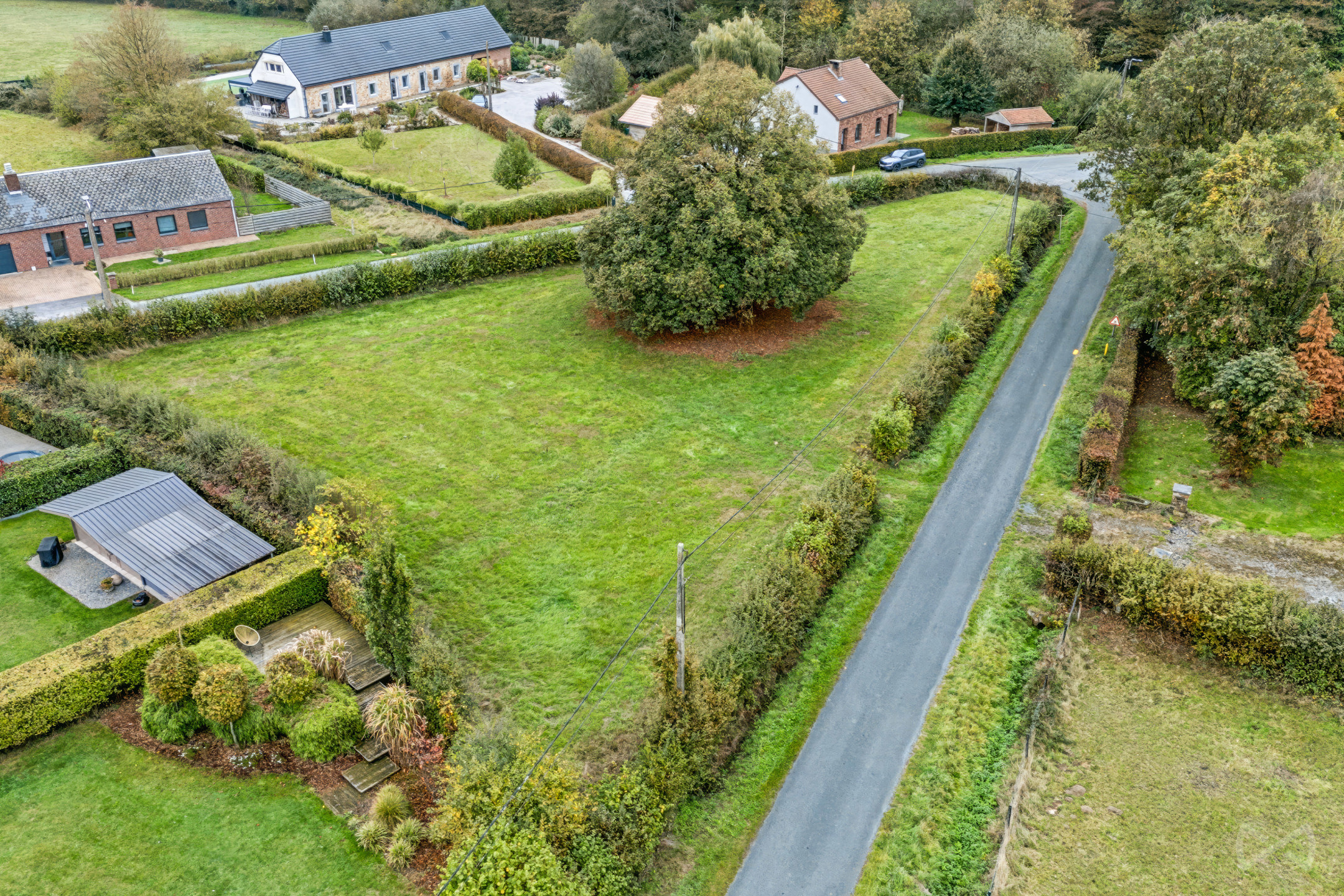 Grond te koop in Seloignes - foto 4