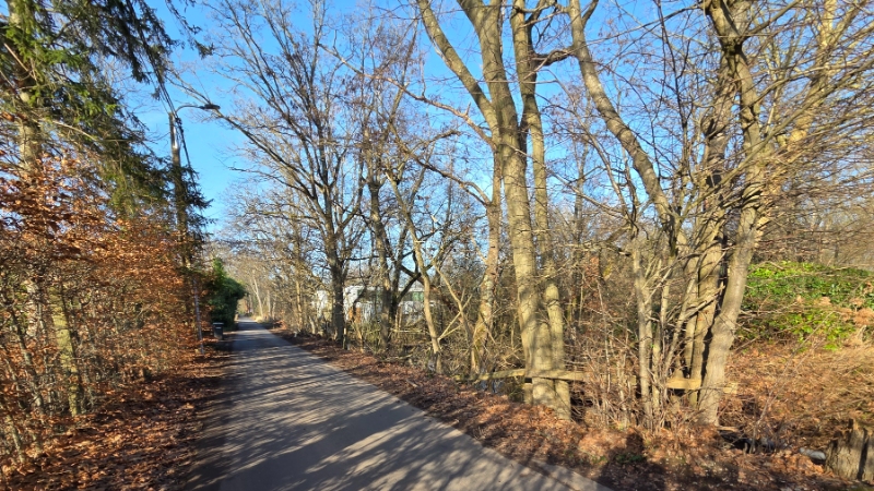 Bouwgrond van 12 are met perceelsbreedte van 24 meter - foto 5