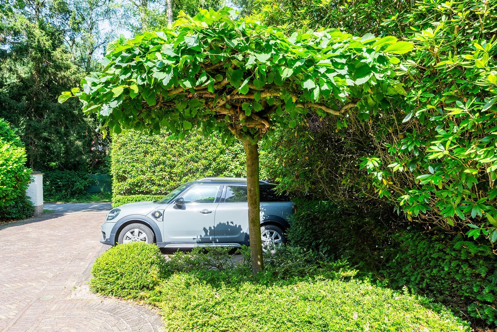 Maison à vendre à Schilde avec 4 chambres - photo 5