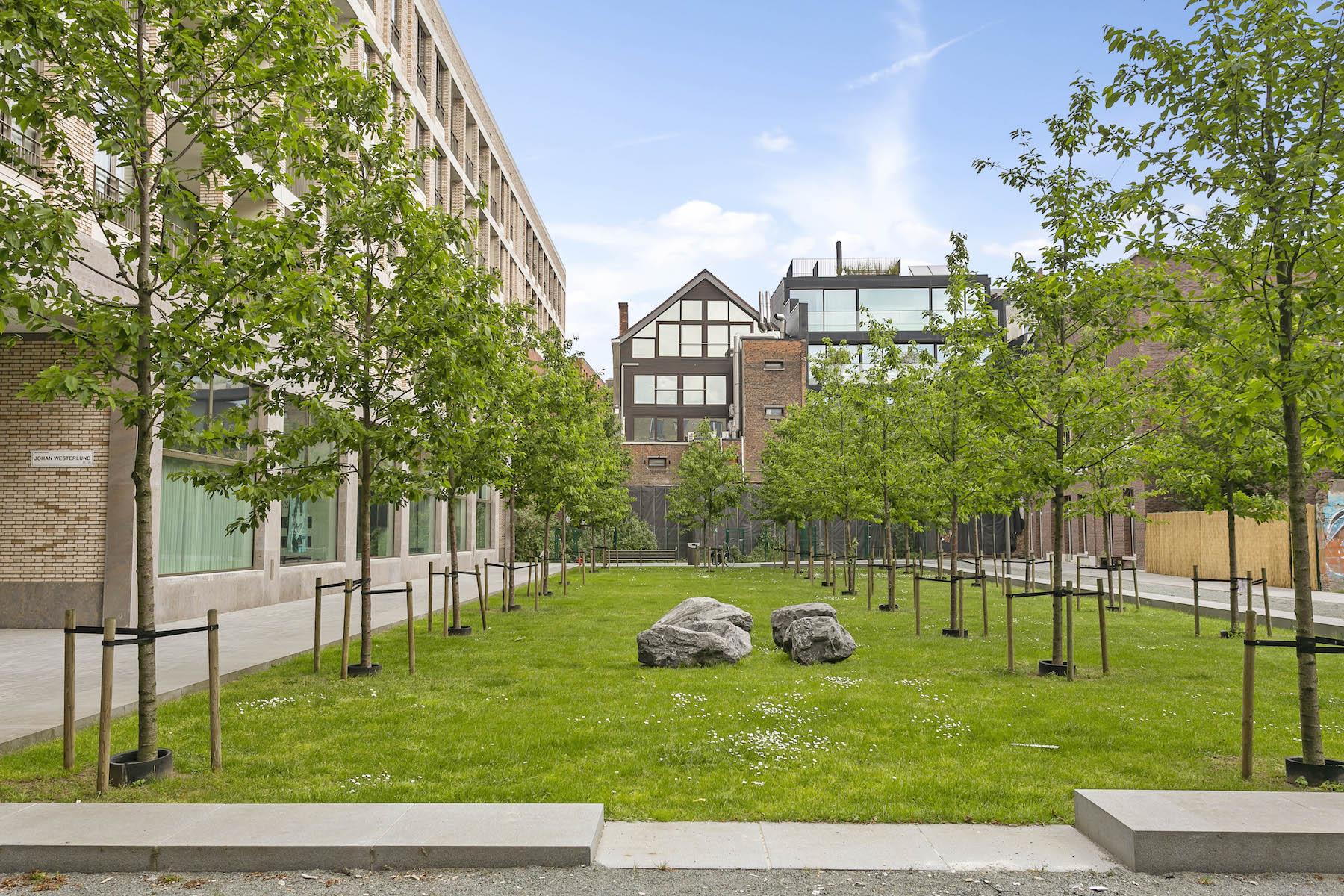 ANTWERPEN - Commercieel gelijkvloers - foto 2