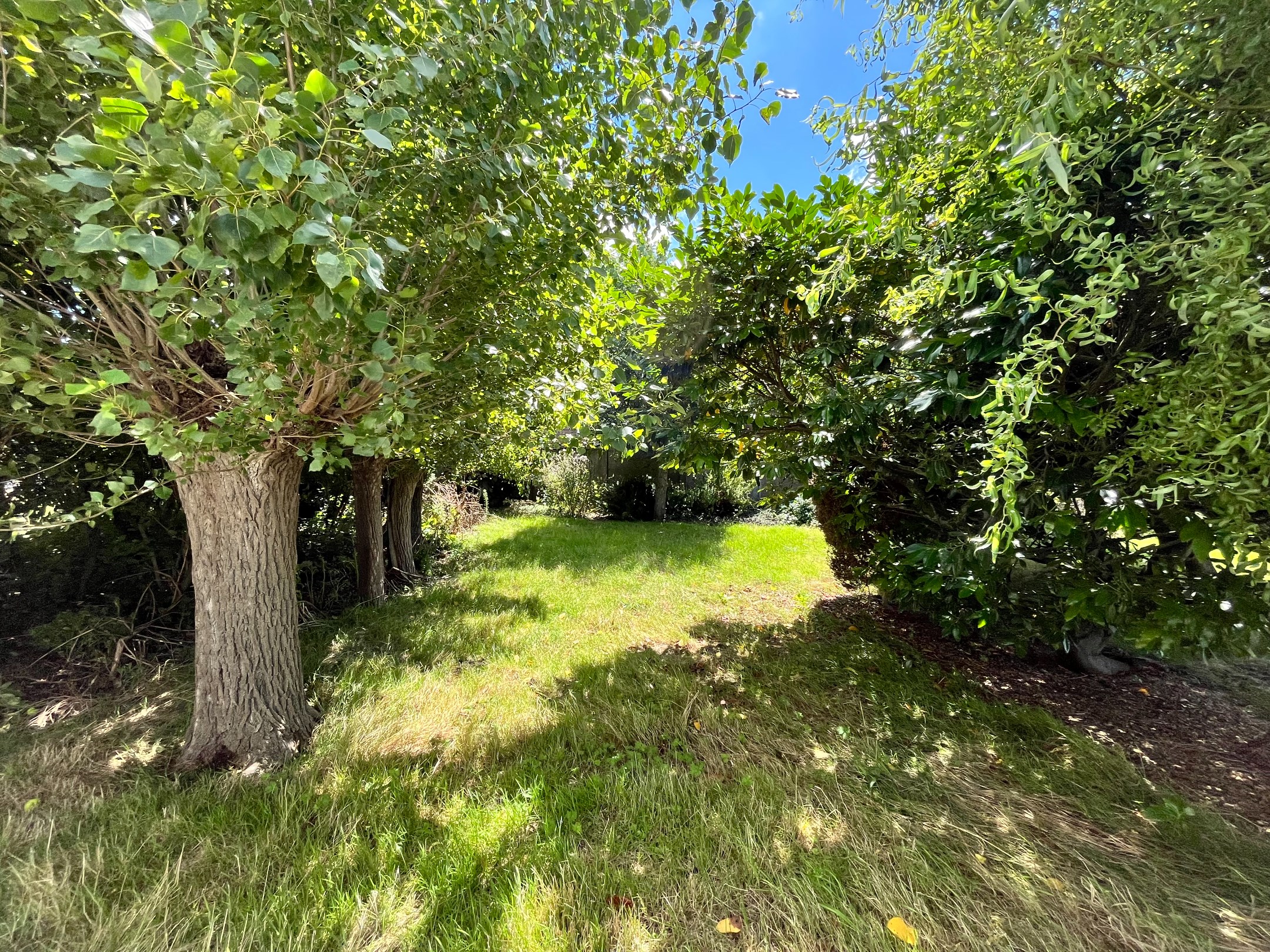 Maison à louer à Knokke avec 6 chambres - photo 5