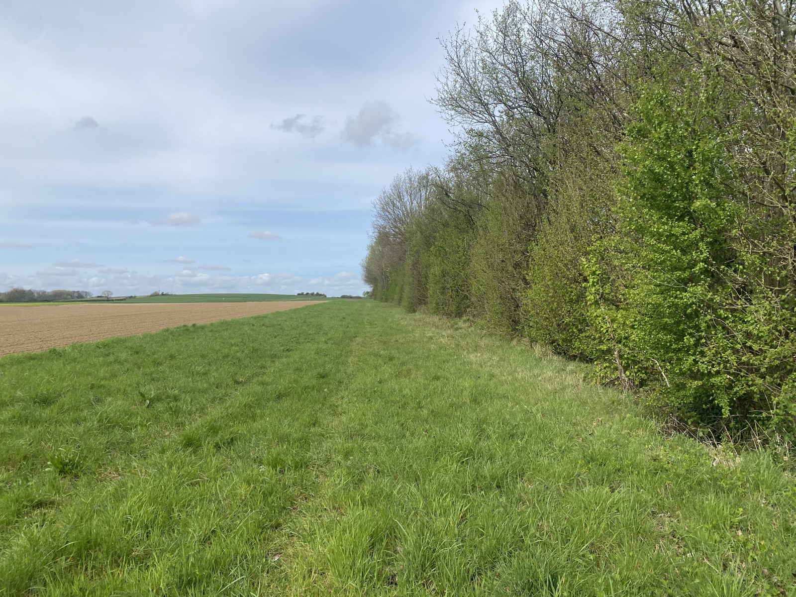 Grond te koop in Bertem - foto 4