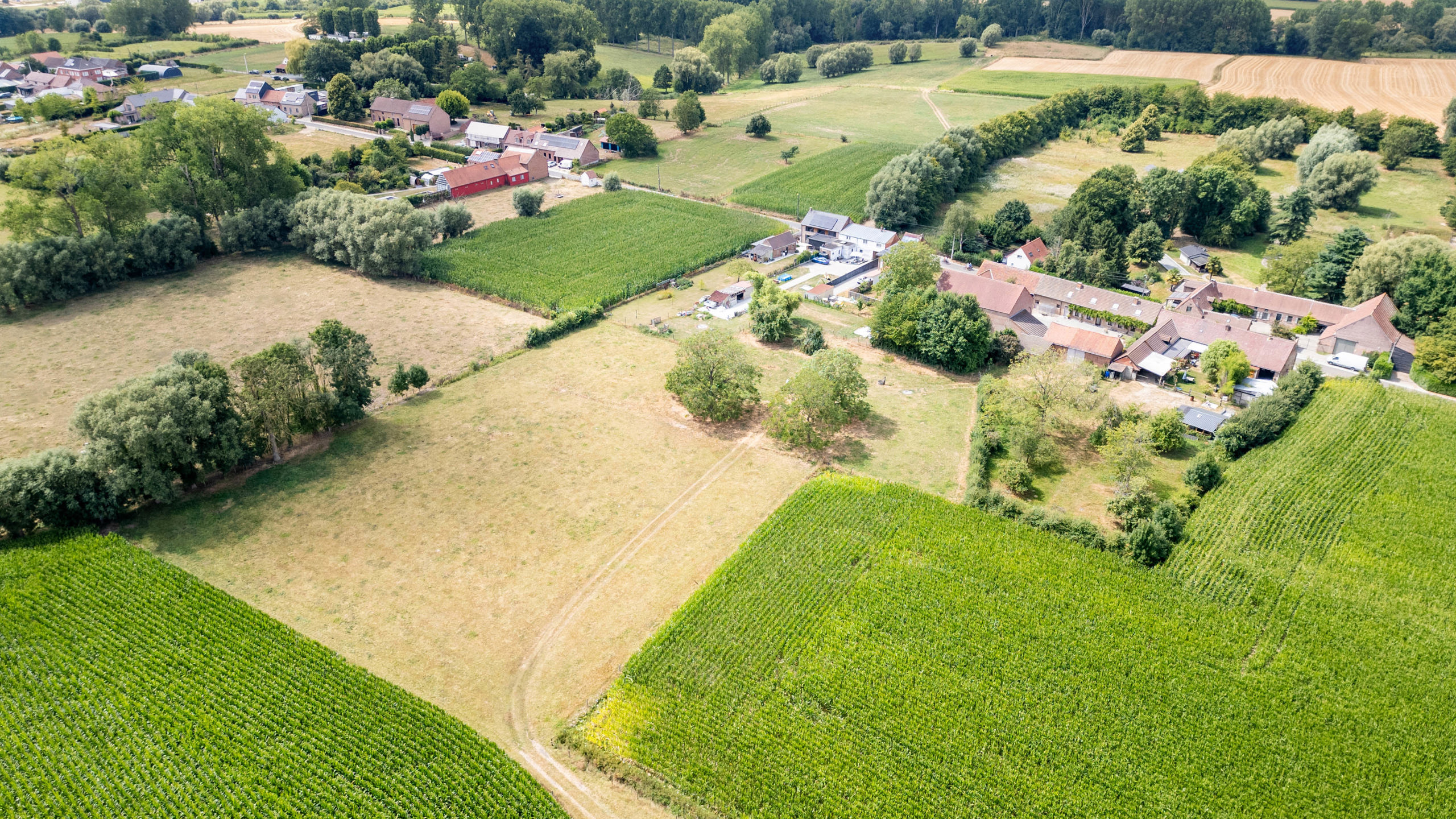 HERNE - Authentieke vierkantshoeve op 1,2 ha met grote loods - foto 2