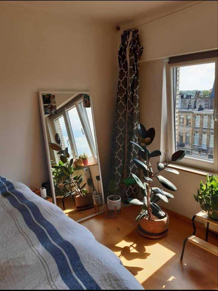 Appartement te huur in Borgerhout met 2 slaapkamers - foto 4