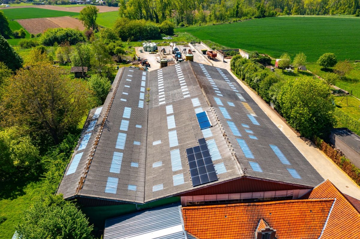 Hoeve met ruime stallen te koop te Zottegem op 4,68 ha - foto 5