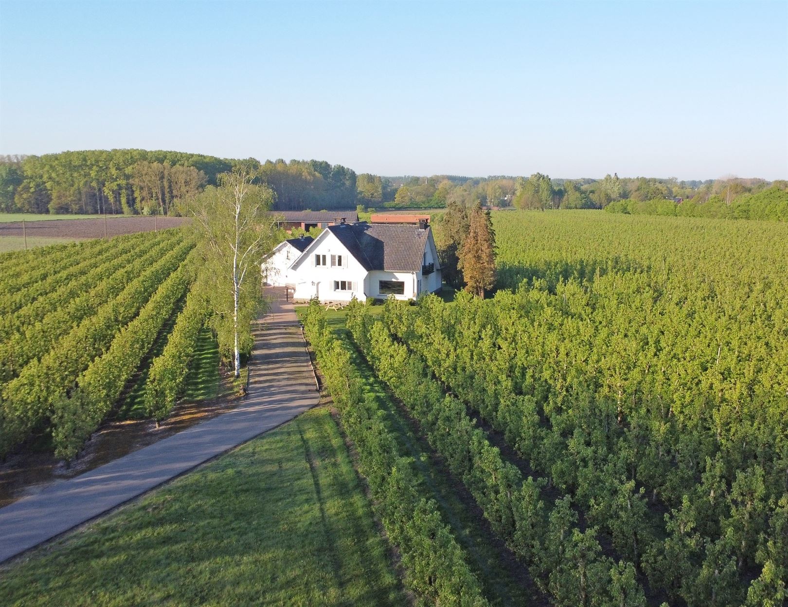 House for sale in Hasselt with 4 bedrooms - photo 3