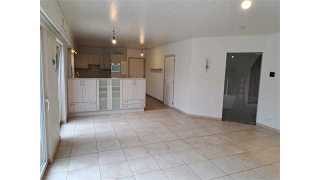 House for sale in Malle with 5 bedrooms - photo 5