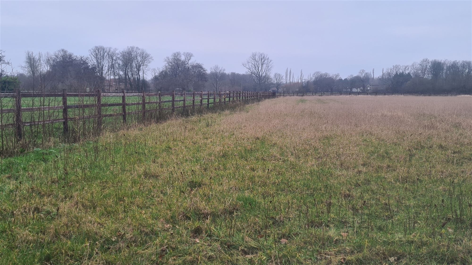 Landbouwgrond - foto 4