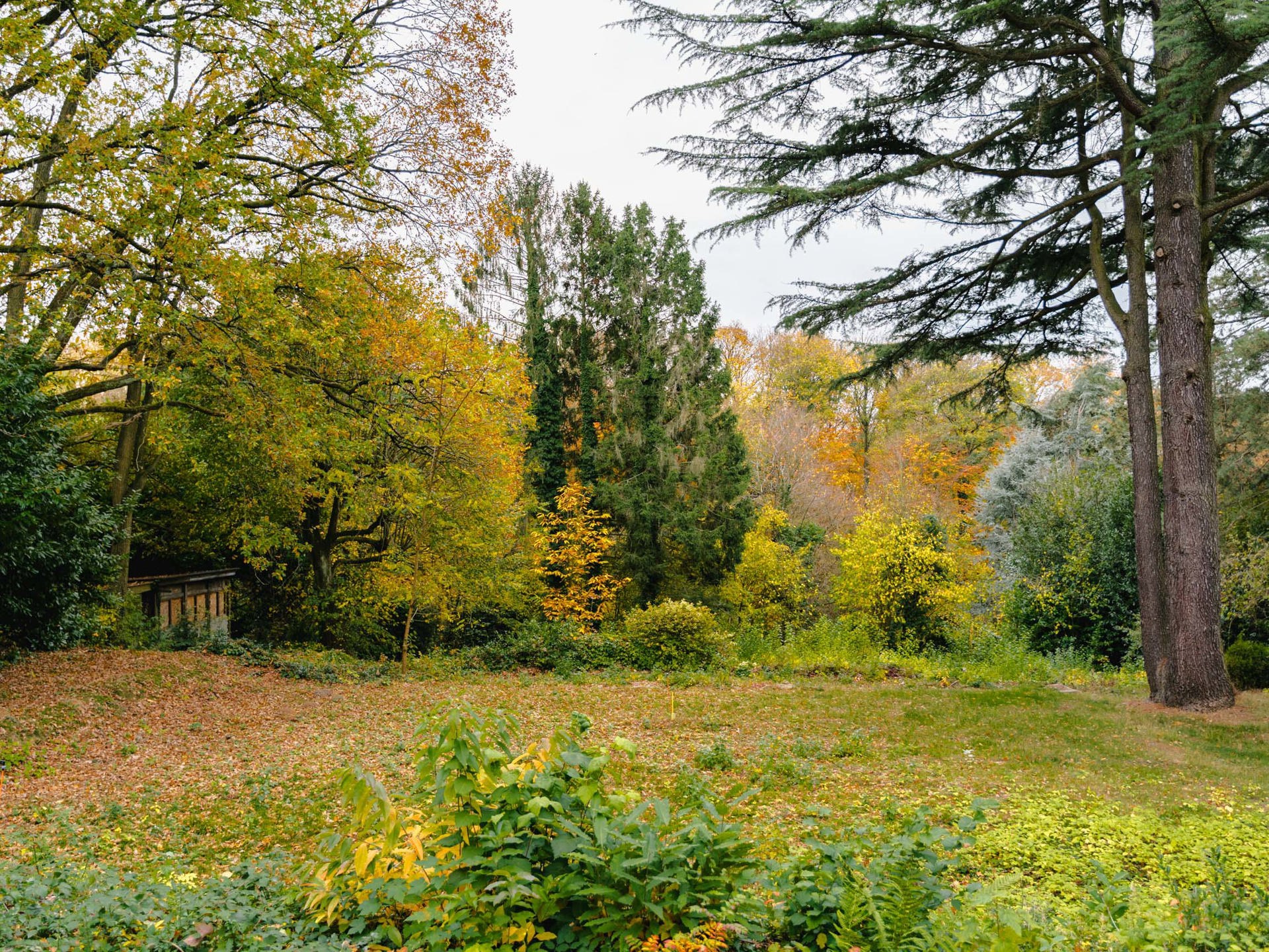 Terrain à vendre à Uccle - photo 4