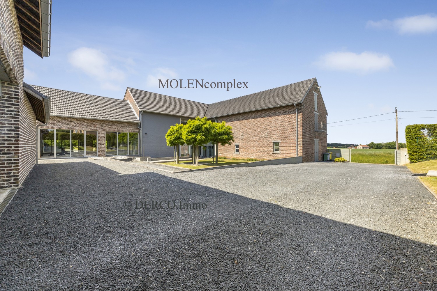 uniek GEHEEL van topklasse VILLA met een afzonderlijk historisch MOLEN-complex (kantoren / eventlocatie) - foto 5