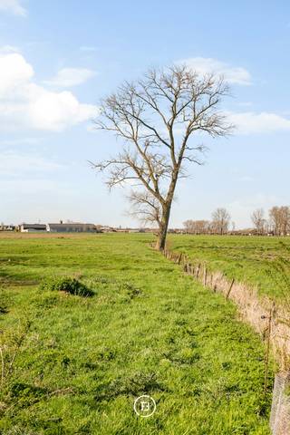 Volledig vergund voor residentieel gebruik én met reeds goedgekeurde bouwplannen biedt deze voormalige hoeve een uitzonderlijke kans voor wie zonder vergunningsonzekerheid een uniek woonproject wil realiseren. Het eigendom bevindt zich op een prachtig perceel van 1,5 hectare langs de Lappersfortstraat, rustig gelegen te midden van groen en open ruimte.<br /><br />Het eigendom maakt deel uit van een voormalig landbouwbedrijf waarvan de functiewijziging naar wonen reeds werd doorgevoerd. De goedgekeurde plannen omvatten de sloop van de bestaande woning en de bouw van een nieuwe woning, volledig naar eigen wens en volgens hedendaagse normen.<br /><br />Daarnaast zijn er twee ruime schuren aanwezig, die vergund zijn als respectievelijk praktijkruimte en wagenhuis. Deze bieden tal van mogelijkheden en kunnen binnen de bestaande volumes verder worden ingericht.<br /><br />Kortom, een unieke opportuniteit voor wie landelijk wil wonen en tegelijk de vrijheid zoekt om een woning volledig naar eigen smaak te realiseren, met het grote voordeel van een volledig vergunde situatie en reeds goedgekeurde bouwplannen.