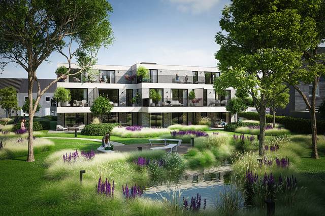 Project te koop in Denderleeuw