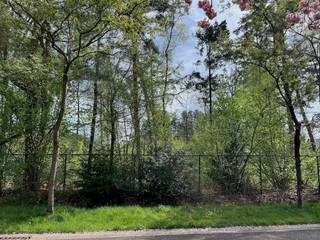 Terrain à vendre à Rijkevorsel