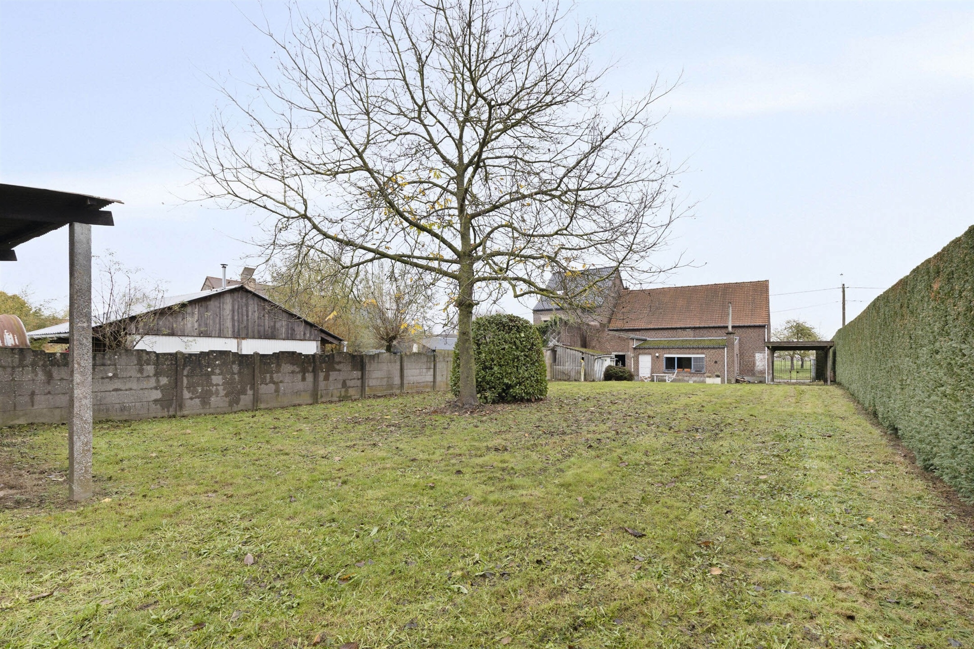 Landelijk zicht achter deze te renoveren woning - foto 3
