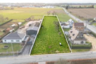 Contactez Pieter Cardoen au 0475 36 12 52 ou à l'adresse pieter@cornelis-goeman.beSitué à Schendelbeke, une commune de Grammont- Terrain à bâtir (tel...