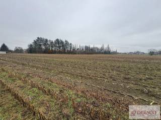 Terrain à vendre à Berlaar