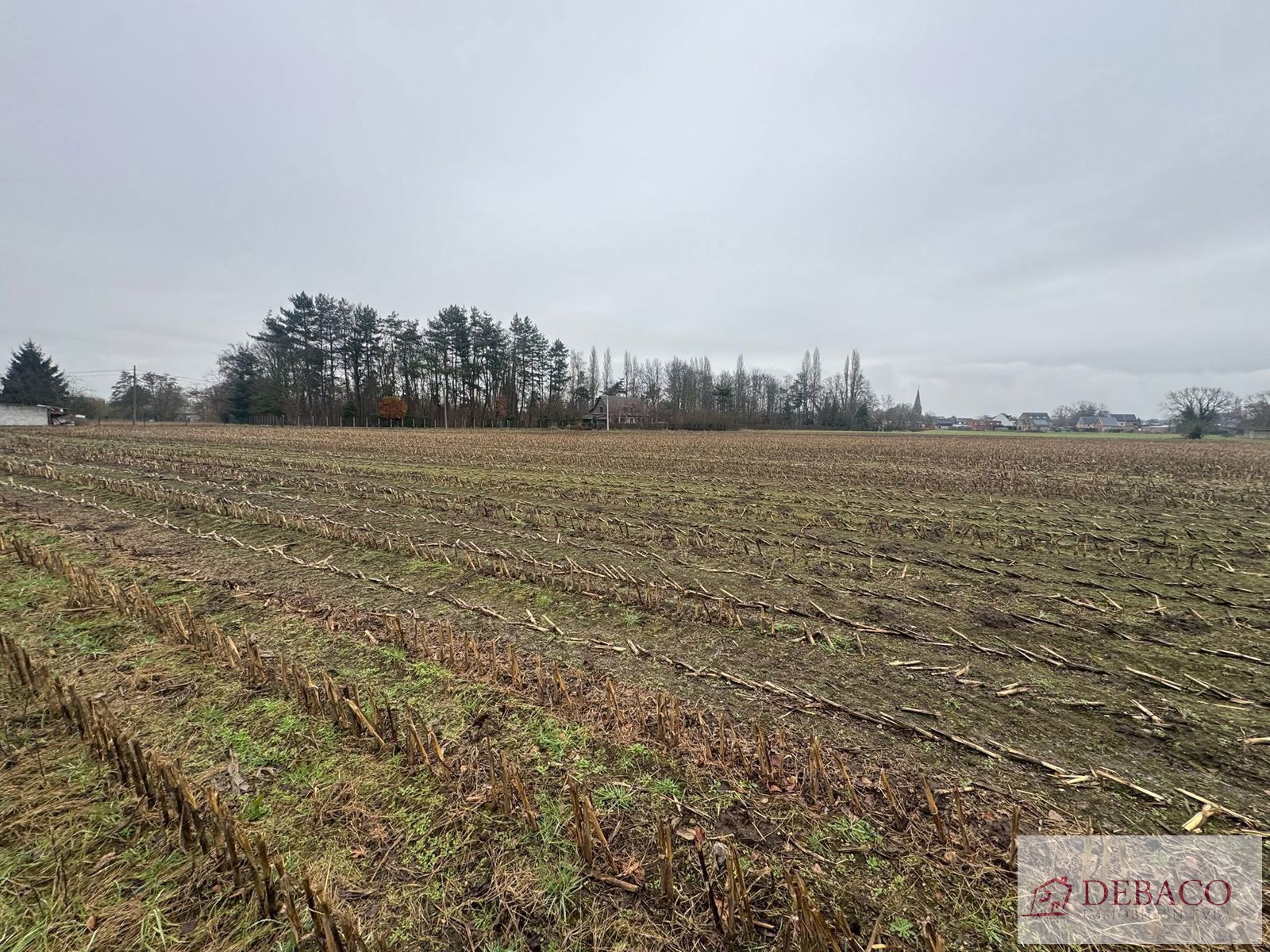 Terrain à vendre à Berlaar - photo 3