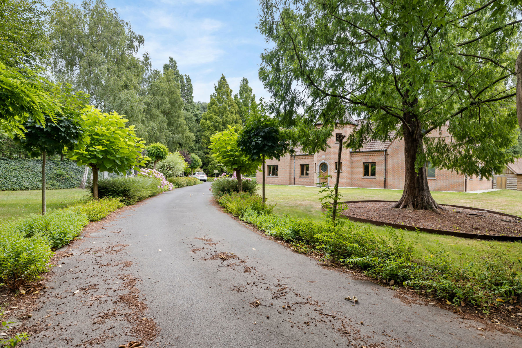 Uitzonderlijk ruime villa met mogelijkheid vrij beroep - foto 2