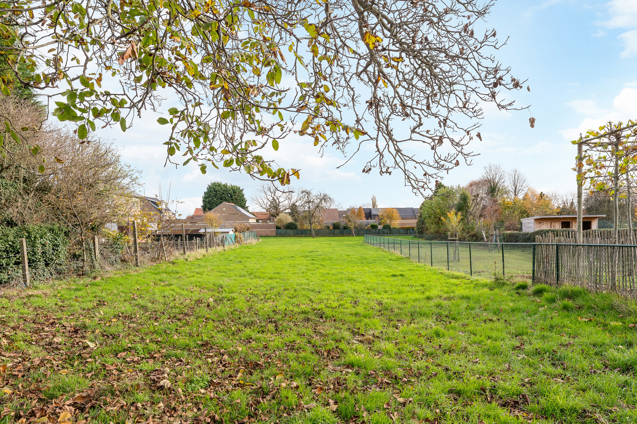 Land for sale in Riemst - photo 4