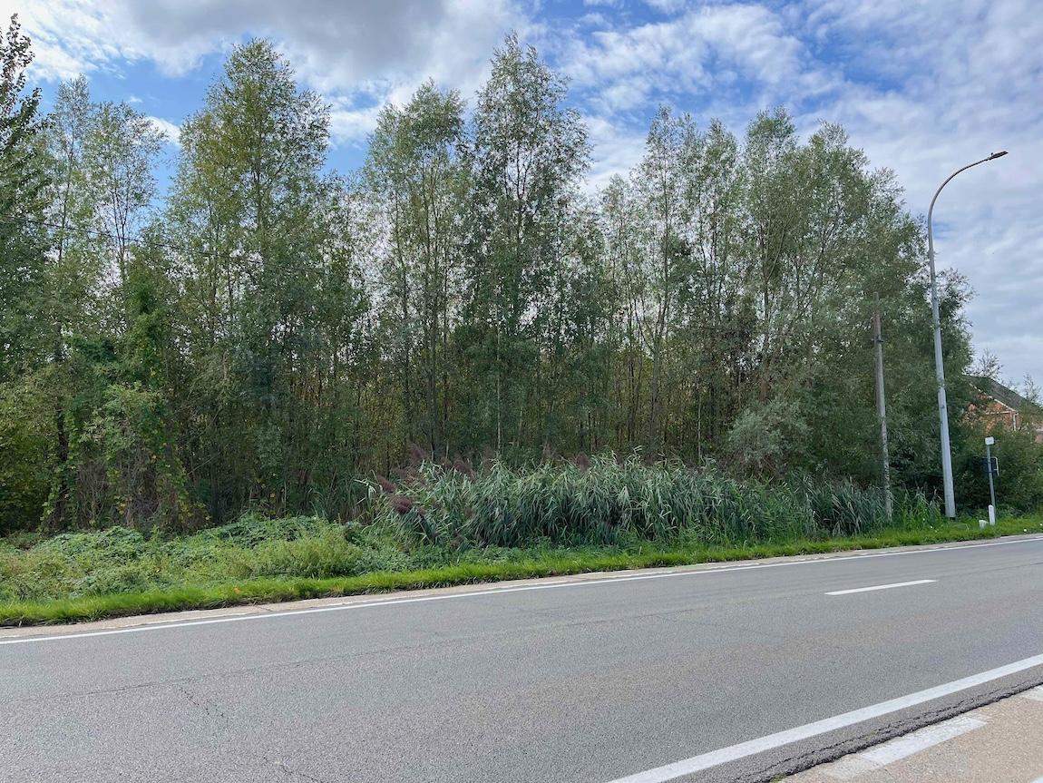 Land for sale in Begijnendijk - photo 2