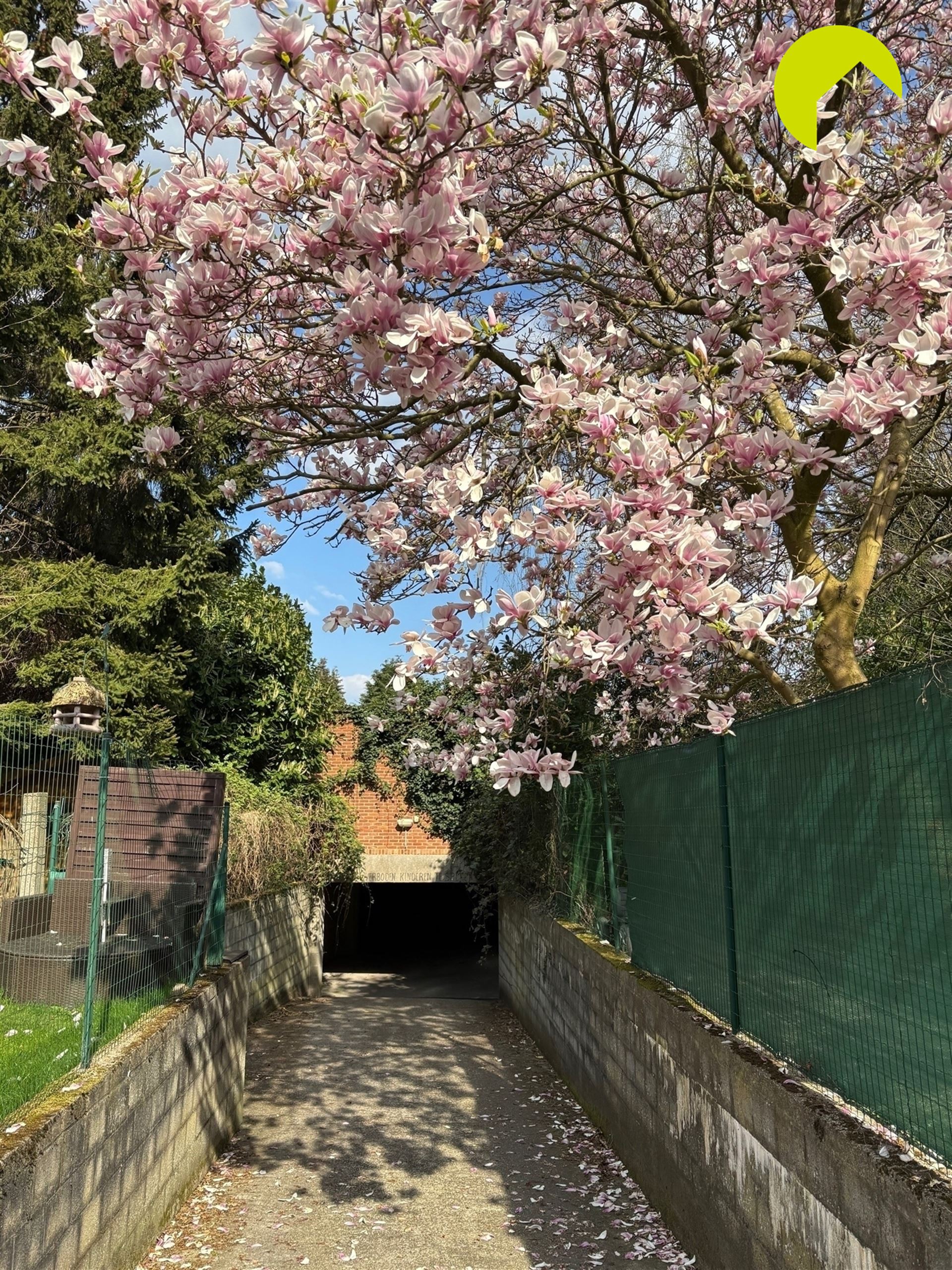 Garageboxen in centrum Mortsel - foto 5