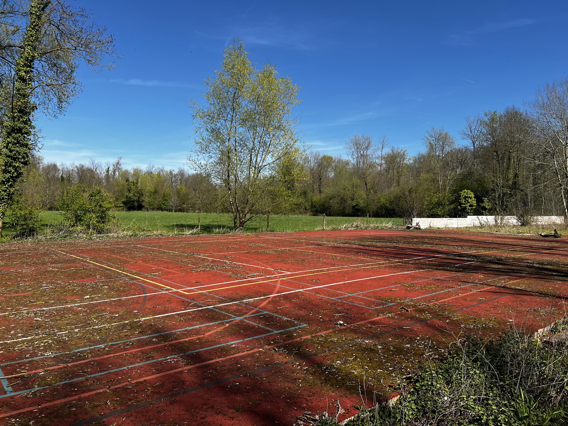 Commercial à vendre à Grammont - photo 2