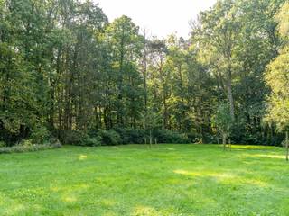 Dit discrete, op het zuiden en oosten gerichte perceel van ongeveer 68 are 39 centiares ligt in een rustige, groene, boomrijke omgeving in...