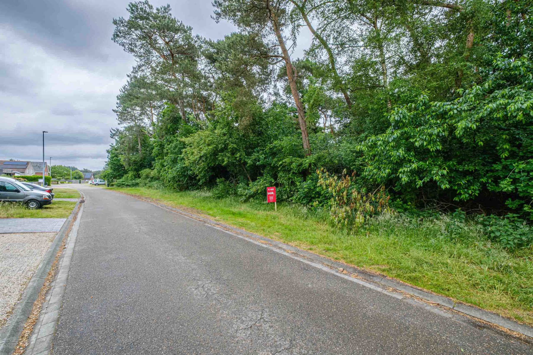 Bosgrond gelegen aan Molenveld - Balen - foto 1