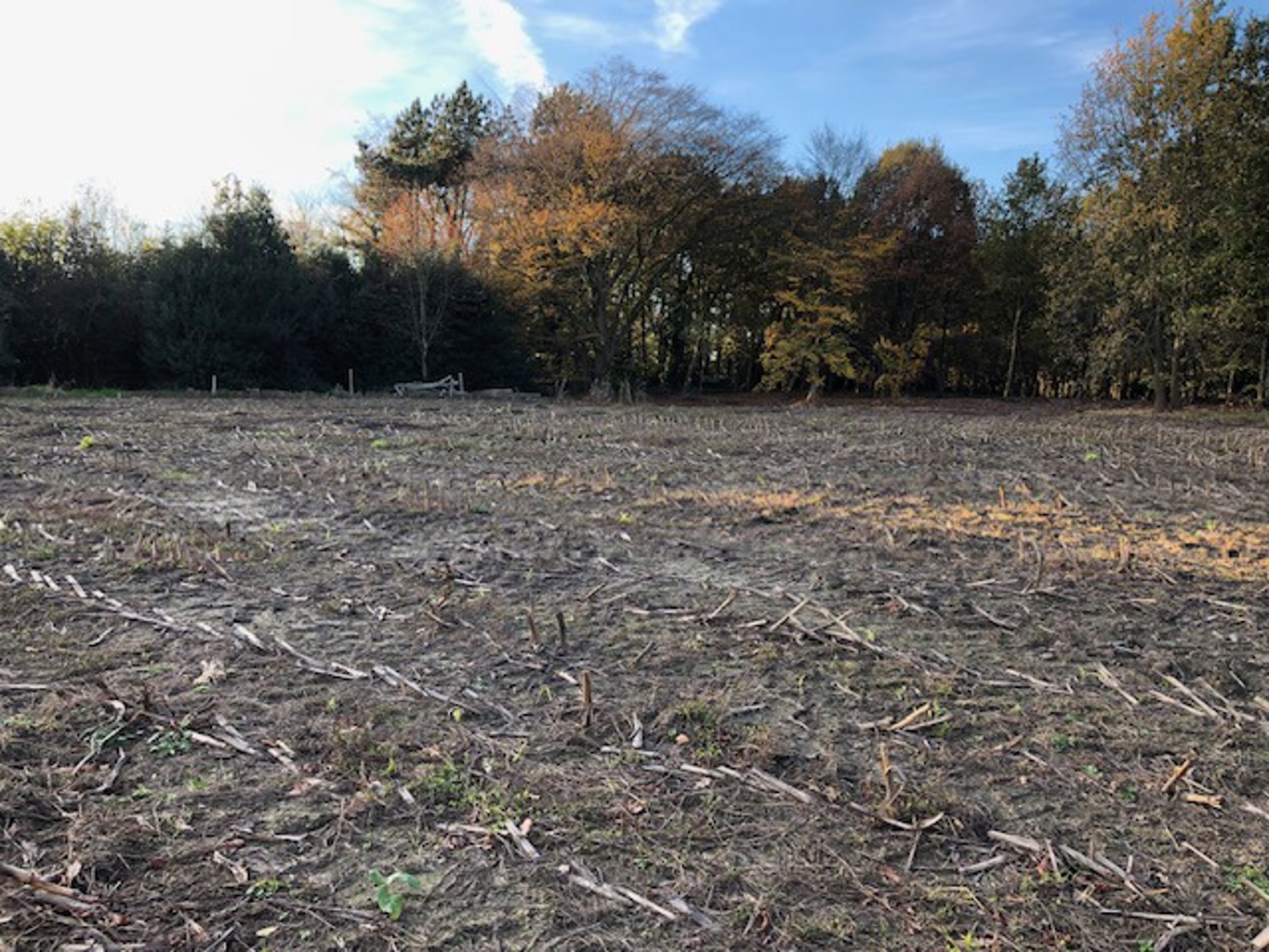 Terrain à vendre à Lokeren - photo 5