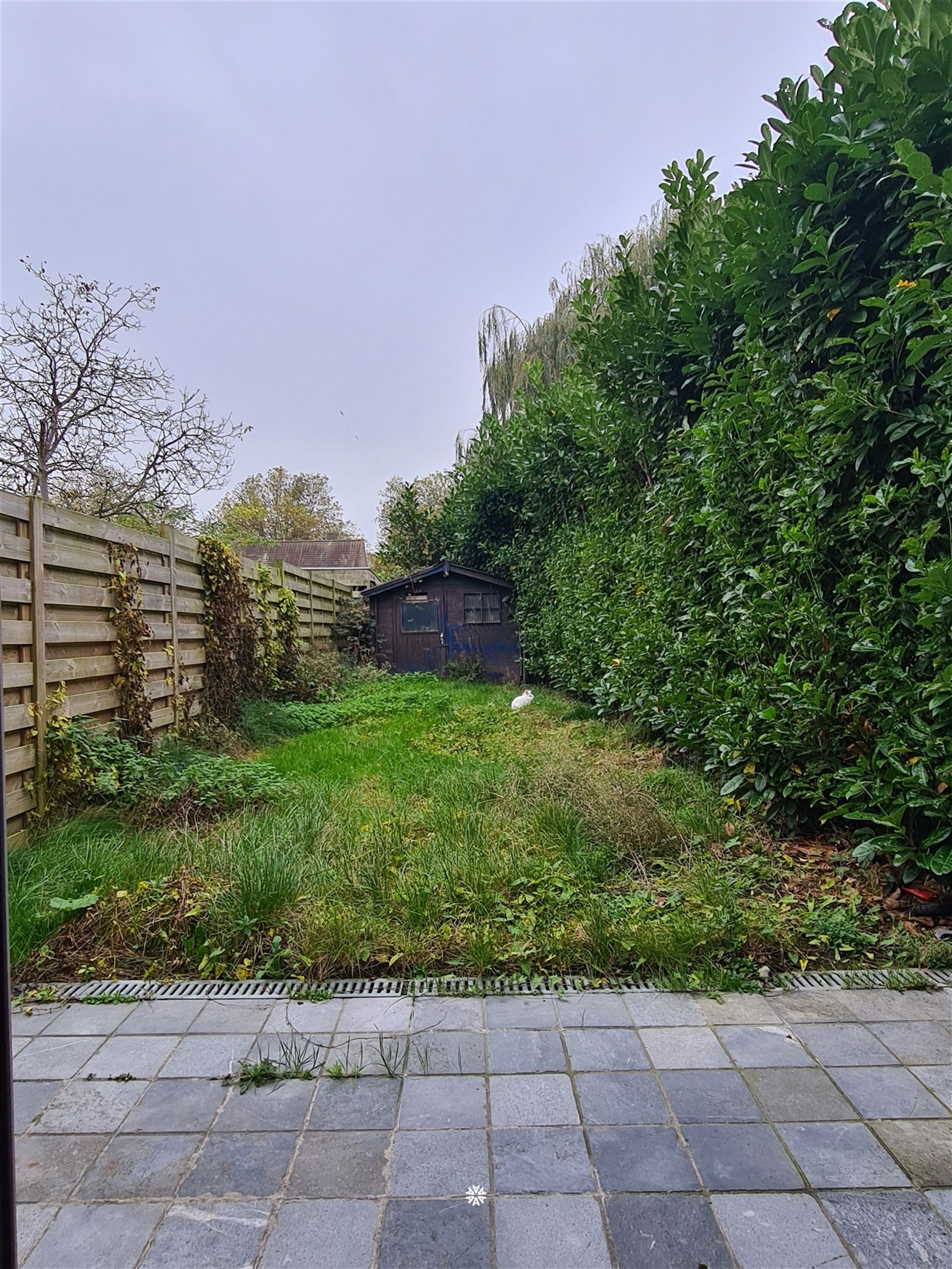 Gelijkvloers appartement met tuintje te huur in Sint-Niklaas - foto 3