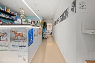 Charmant commercieel pand, momenteel in gebruik als dierenartsenpraktijk. Dit pand is volledig gerenoveerd en beschikt over een moderne, onderhoudsvriendelijke gietvloer. Het is gelegen aan een drukke weg, wat zorgt voor uitstekende zichtbaarheid.<br /><br />Het pand biedt tal van voordelen, waaronder conforme keuring van de elektrische installaties, geen renovatieverplichting, en een efficiënt systeem D voor ventilatie. Bovendien is er vloerverwarming voor extra comfort en een apart toilet voor het gemak van bezoekers en personeel.<br /><br />Er zijn geen syndicuskosten en het pand is beschikbaar vanaf begin 2027.