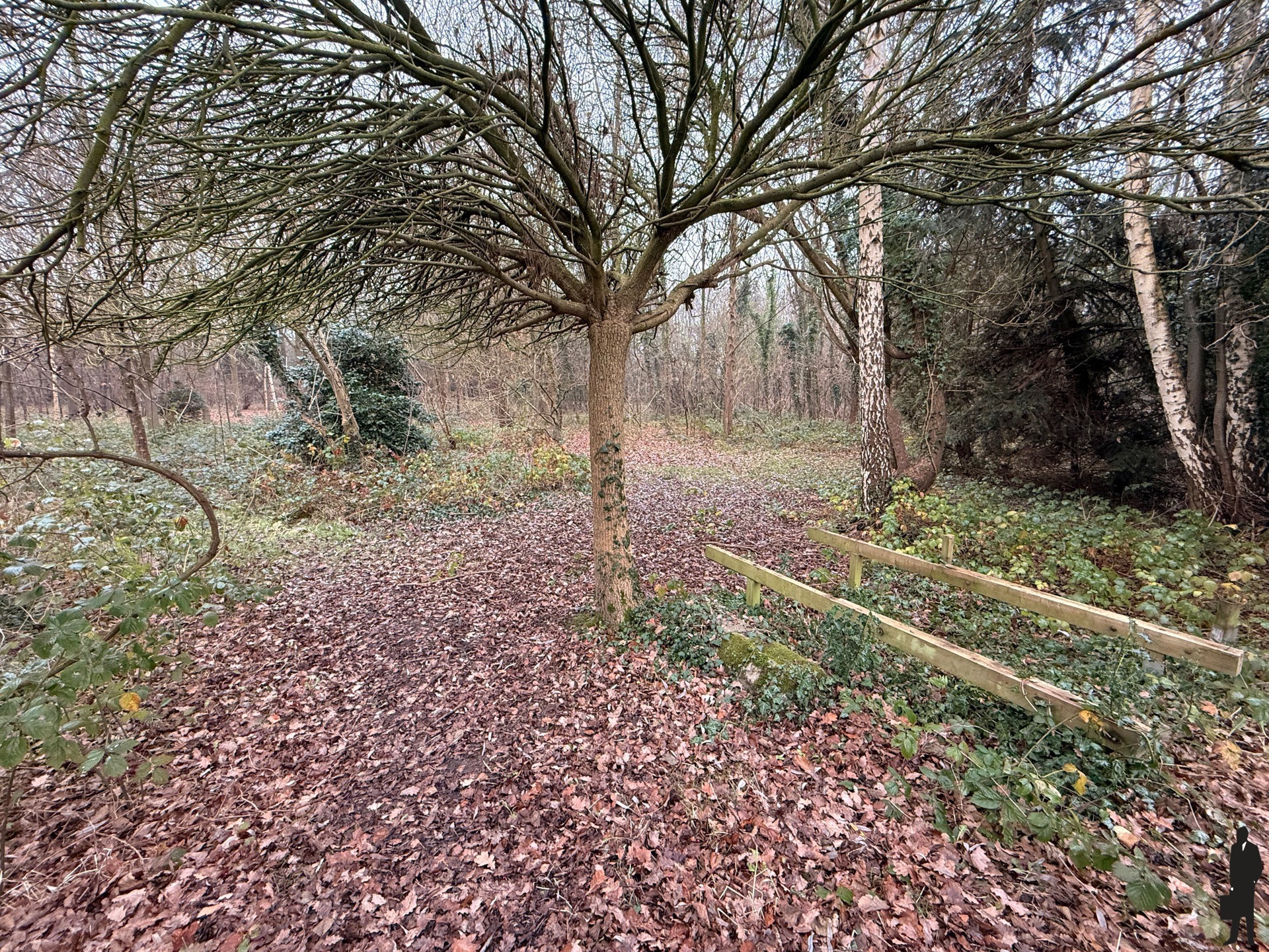 Prachtig gelegen agrarisch gebied/bos nabij fort van Duffel - foto 5