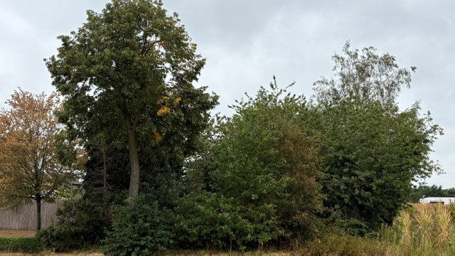 Bouwgrond voor open bebouwing - foto 4