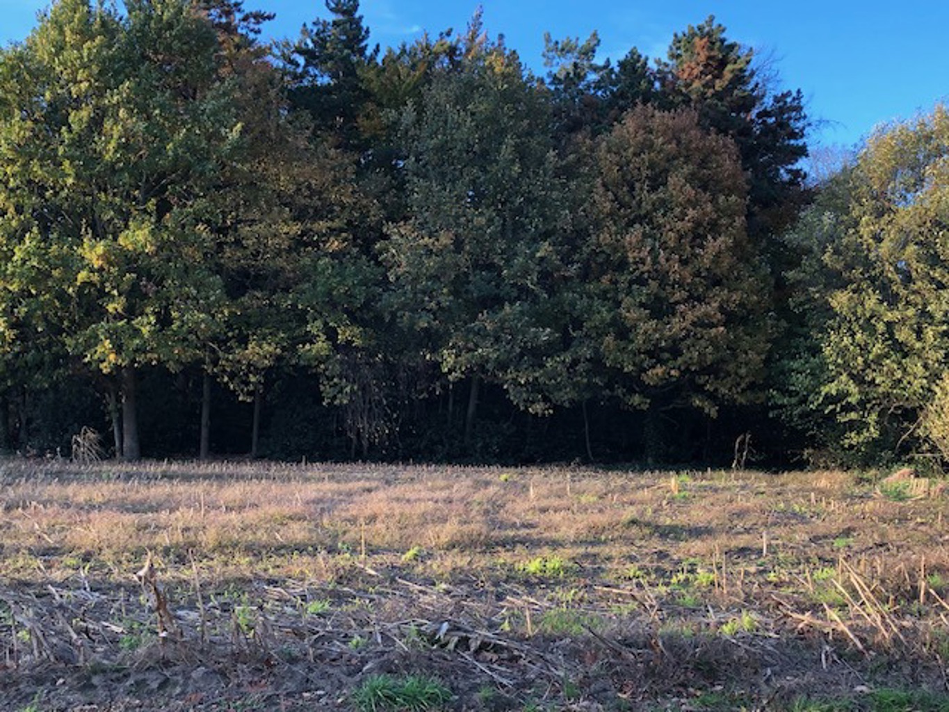 Terrain à vendre à Lokeren - photo 2