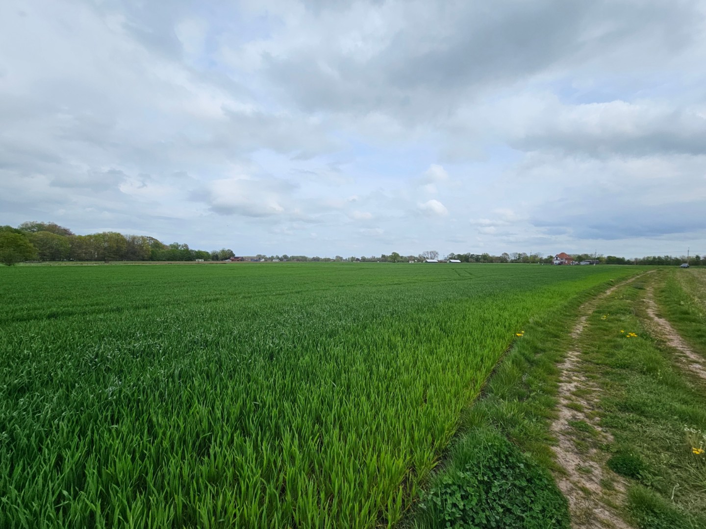 Grond te koop in Veltem-Beisem - foto 5