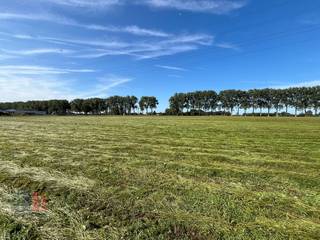 UNIEK:<strong> Industriële bouwgrond</strong> met te koop, mogelijk<strong> vanaf 5.000 m² tot 36.000 m²</strong>, waardoor er ruime mogelijkheden zijn voor zowel kleine als grote bedrijven. De perceelsgrenzen kunnen volledig op maat van de koper gekozen worden, waardoor dit project zich uiterst flexibel opstelt. Een groot voordeel is dat het perceel vrij is van bouwverplichting of intercommunale beperkingen, wat zorgt voor een ongeëvenaarde vrijheid in het ontwikkelingsproces.<br /><br />Daarnaast gelden er zeer <strong>gunstige bouwvoorschriften</strong>, waarbij de nadruk ligt op zorgvuldig ruimtegebruik. Dit biedt interessante mogelijkheden voor bedrijven die efficiëntie en duurzaamheid willen combineren in hun bouwproject.<br />De hoge bebouwingsgraad van het terrein zorgt voor maximale benutting van de beschikbare oppervlakte.<br />De industriezone is uitermate geschikt voor productie- of logistieke bedrijven. Er is bovendien de mogelijkheid voor een "<strong>built-to-suit</strong>" constructie, wat inhoudt dat het gebouw volledig op maat van de koper kan worden ontworpen en gebouwd, geheel volgens de specifieke wensen en noden van de klant. Deze optie zorgt ervoor dat het gebouw perfect afgestemd is op de bedrijfsactiviteiten, wat een lange termijn succes verzekert.<br /><br />De geafficheerde prijs is een 'vanaf prijs' en is afhankelijk van factoren zoals de positie, vorm en de grootte van het perceel. Dit biedt flexibiliteit voor verschillende budgetten en projectomvang.<br /><br />Voor meer informatie, gedetailleerde technische specificaties, plannen of een vrijblijvend plaatsbezoek, neem gerust contact op met <strong>PANORAMA</strong> <strong>BEDRIJFSVASTGOED</strong>. Wij staan klaar om u te adviseren en verder te helpen. U kunt ons bereiken op het nummer <strong>0477 02 09 02</strong>.<br /><strong>www.panoramab2b.be</strong><br />