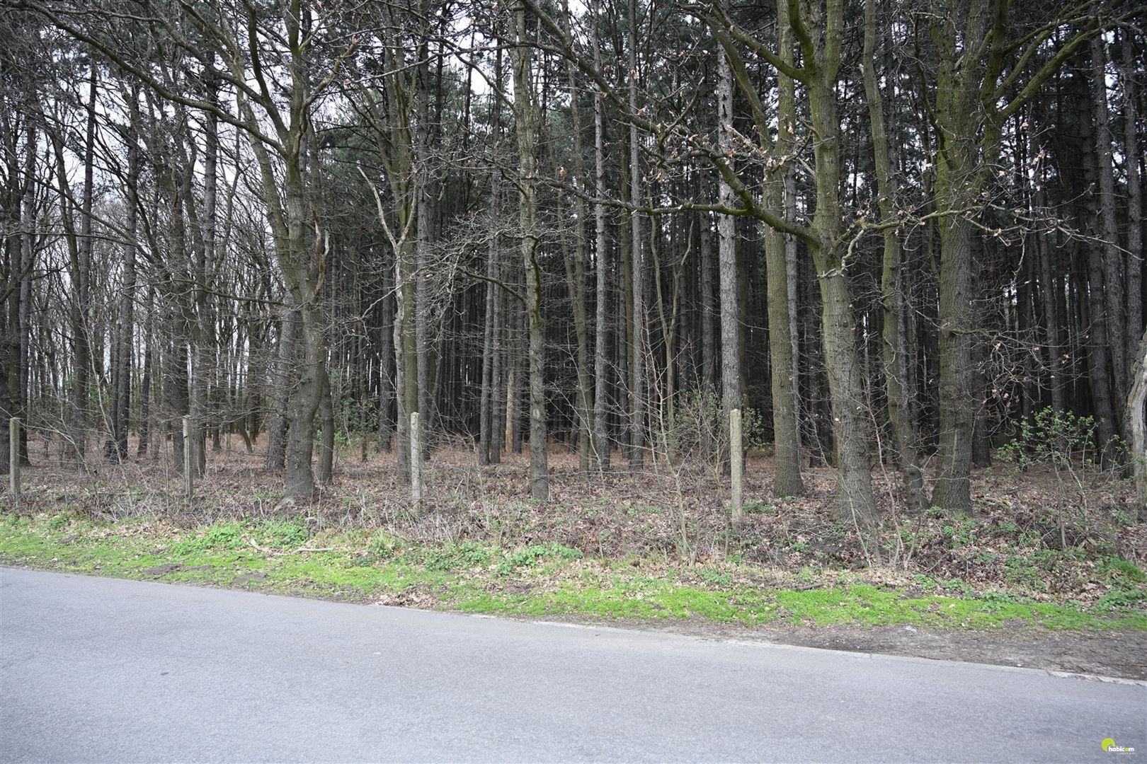 Mooie bosgrond met loofbomen te Wachtebeke! - foto 5